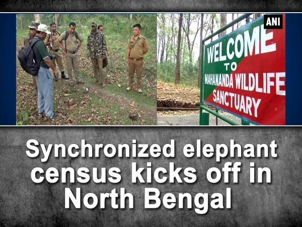 Synchronized elephant census kicks off in North Bengal - indiablooms