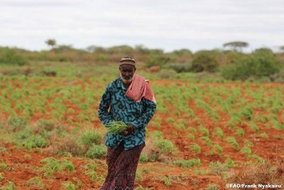 UN concerned over food security situation in Somalia