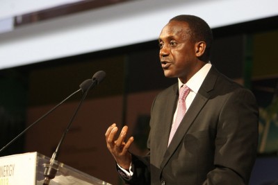 UN seeks to mobilize investment for sustainable energy 