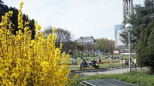 Vienna architectural marvel 