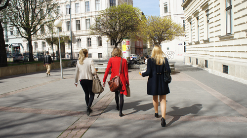 Vienna architectural marvel 