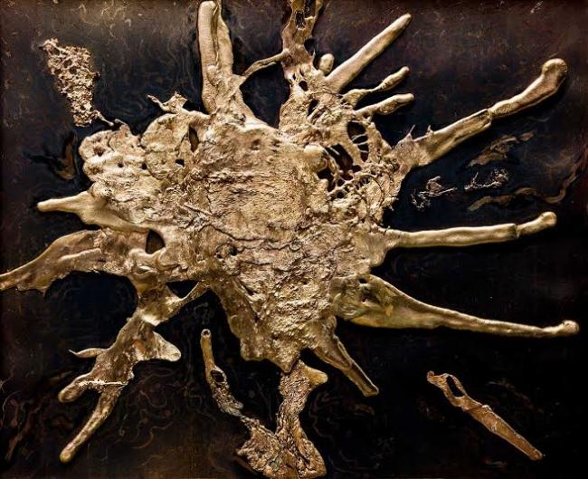 Gallery Sanskriti  organizes 'Disappearing Dialogues' exhibition in Kolkata