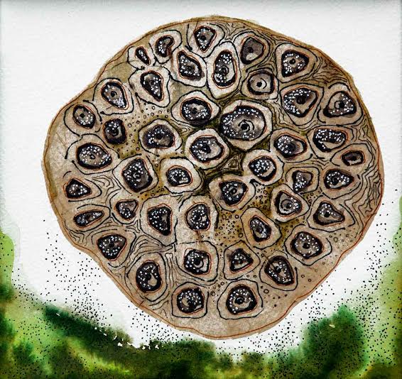 Gallery Sanskriti  organizes 'Disappearing Dialogues' exhibition in Kolkata