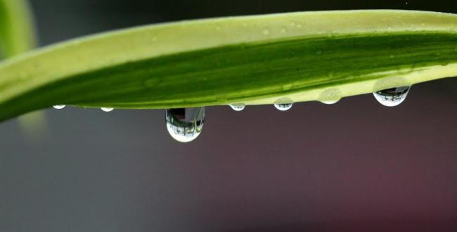 Clouds and raindrops through the 'lens' marking photography day