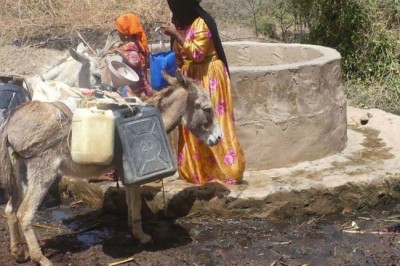 Yemen faces dire health crisis with funding gap and 15.2 million lacking care: UN