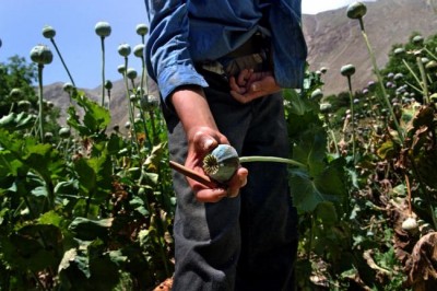 Nepal: WHO calls for efforts to boost health services in quake-hit country