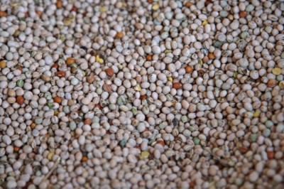 Uganda: UN-backed investments in small farmers yield impressive outcomes