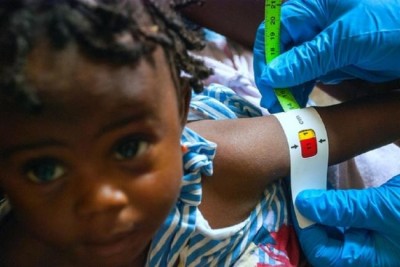 After missteps on Ebola, WHO must re-establish itself as 'guardian of global public health': review panel