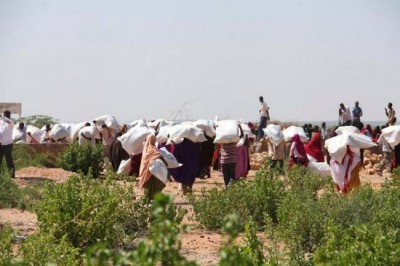 UN forecasts 'worrisome' 2015 outlook on humanitarian front for Somalia