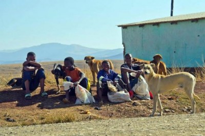 Rabies 100 per cent preventable, UN health agency says on World Day