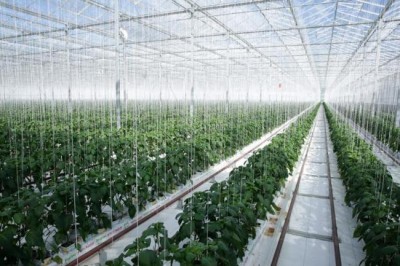 Geothermal energy can help developing countries boost food security: UN