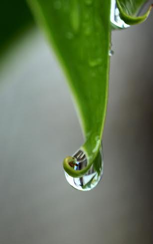 Clouds and raindrops through the 'lens' marking photography day