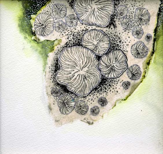 Gallery Sanskriti  organizes 'Disappearing Dialogues' exhibition in Kolkata