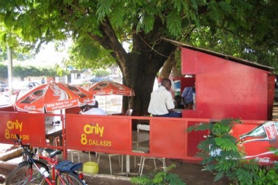 Ban commends West African countriesâ€™ firm decision to stand by Gambian President-elect