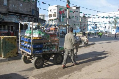 UN rights office condemns executions carried out by Gaza authorities