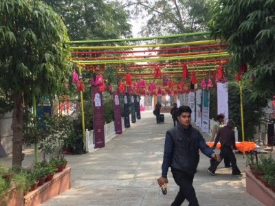 Top Tips for JLF treat