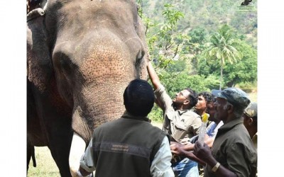 Union Minister urges Karnataka forest dept to take good care of injured wild elephant Sidda  