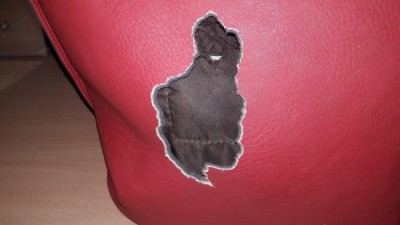 Nivedita Saraf tweets Railway Minister on rat trouble in train