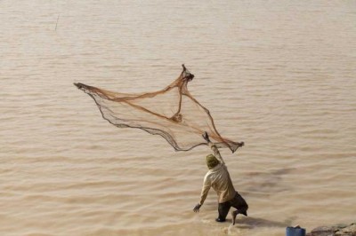 New UN study identifies small fish with 'big role' to play feeding Africa's drylands