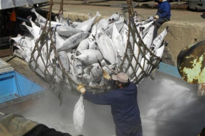 UN agricultural agency accord on illegal fishing set to enter into force