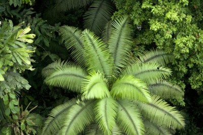 World needs â€˜new vision for urbanization,â€™ says UN chief