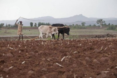Ethiopia will need urgent global support in race to prepare for main agricultural season â€“ UN