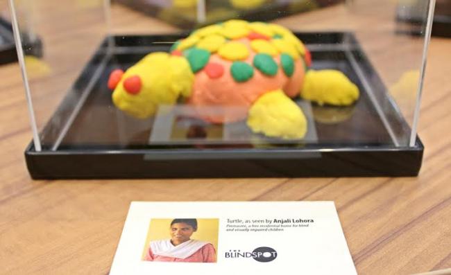 Turtle celebrates 'World Turtle Day', honours visually impaired in Kolkata