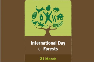 UN agency warns about the rapid depletion of forests across the globe 