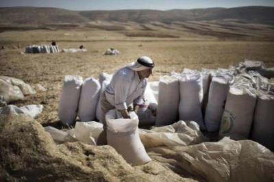 World food prices fall for third straight month, dip projected for grains â€“ UN