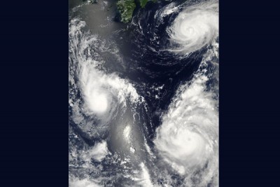 Typhoon Damrey kills 49 in Vietnam, renders thousands homeless