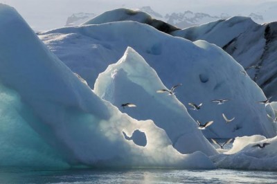 World Bank sees improving global economy despite 'substantial' risks