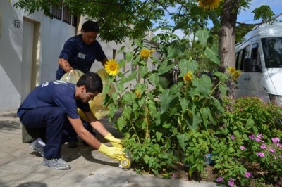 Citing Uruguayâ€™s â€˜inspiringâ€™ record on environment, UN expert says country must do more