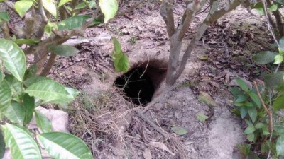 West Bengal: BSF unearths 80m secret tunnel along India-Bangladesh border