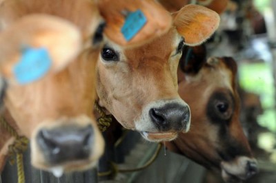 With UN support, more countries confronting threat of drug-resistant 'superbugs'