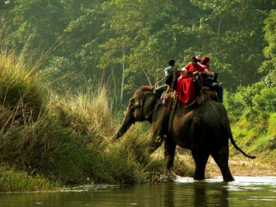 Nepal: Elephant attack kills Indian tourist