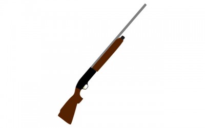 ISSF World Cup in New Delhi, Day-2: Peopleâ€™s Republic of China and Italy in the spotlights