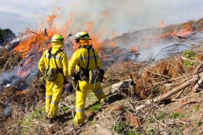New Zealand firefighters to combat BC Wildfire in Canada