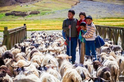 23rd KIFF: Cinema for children and adults