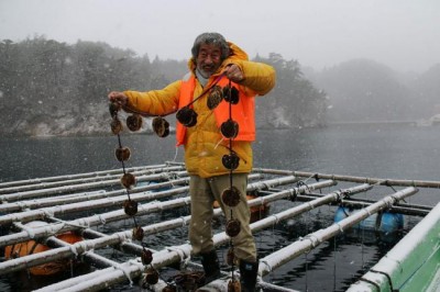 FEATURE: â€˜Grandpa Oysterâ€™ offers example of sustainable ocean business