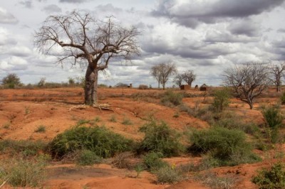 UN summit spotlights financial need to combat land degradation