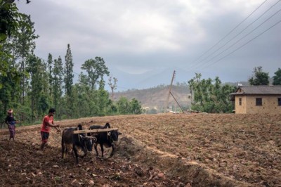 Turning national pledges into action crucial in fight against hunger, stresses head of UN agency