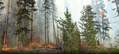 Wildfire scorches more than five lakh hectares in British Columbia
