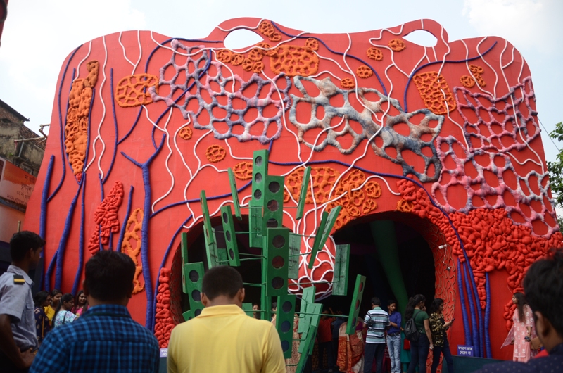 Kolkata celebrates Durga Puja