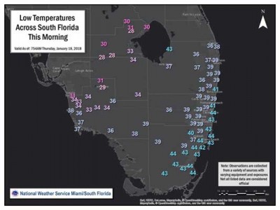 Florida Tampa Bay brace for coldest day in eight years