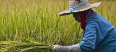 Asia-Pacific countries pledge women, girlâ€™s empowerment at high-level UN forum