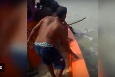 West Bengal: 12 fishermen held for hounding a Royal Bengal Tiger in Sunderbans