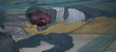 UN health agency launches action plan as global malaria cases rise