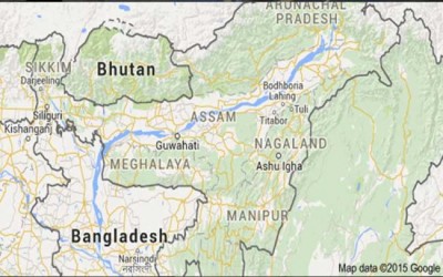 Running car catches fire on road in Assamâ€™s Bijaynagar