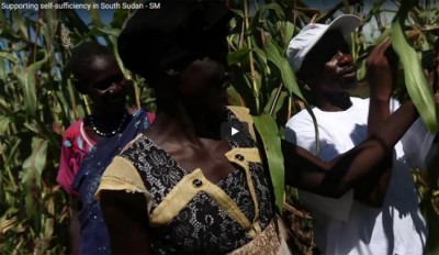 South Sudan: A year after averting famine, â€˜food insecurity outlook has never been so dire,â€™ UN warns