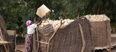 Dry, hot weather likely to reduce harvests in southern Africa, UN warns